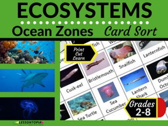 Ocean Zones | Ecosystems | Card Sort