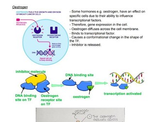 Regulation of gene expression and epigenetic complete notes set.