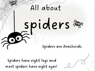 All about spiders