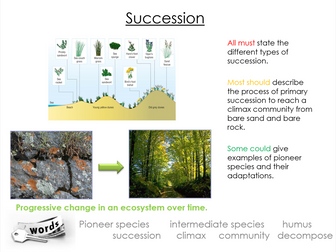 A-level biology - succession