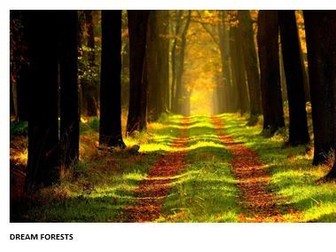 DREAM FORESTS best language device technique acronym for analysis