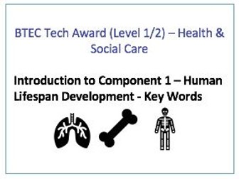 Health & Social Care (BTEC Tech Award) - C1 Keywords activity