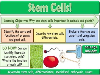 Stem Cells AQA GCSE (9-1) Biology