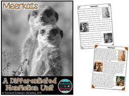 Differentiated Nonfiction Unit: Meerkats