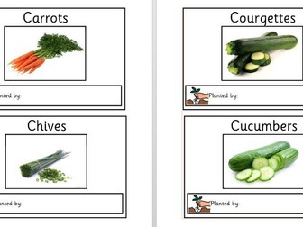 outdoor learning, gardening, horticulture fruit, vegetable and plant labels
