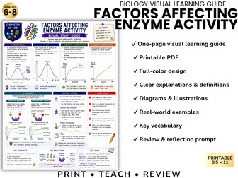 FACTORS AFFECTING ENZYME ACTIVITY Biology Visual Learning Guide | Grade 8 & Middle School Science