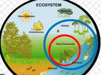 KS3 Ecosystem Scheme of Work