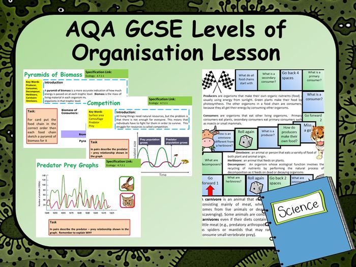 AQA KS4 GCSE Science Levels Of Organisation Lesson | Teaching Resources