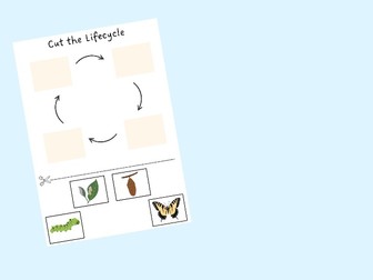 Butterfly Lifecycle Cut and Stick