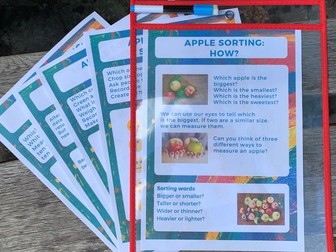 Fragonwood Outdoor maths activities  Apple sorting ordering