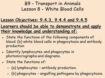 B9 Transport in Animals IGCSE Biology L8