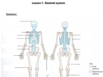 OCR A level Physical Education Musculo-skeletal booklet