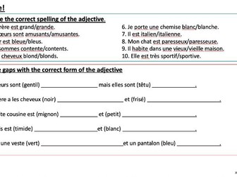 French Adjectives Reference and Practice PPT