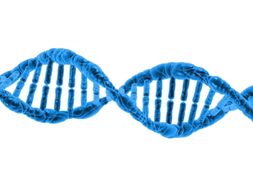 Google Expeditions - AR - Introduction to Genetics - DNA and RNA #Google Expeditions