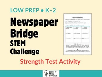 Primary Newspaper Bridge STEM Challenge