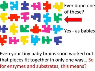 GCSE 9 - 1 Biology key concepts - CB1f Enzyme action
