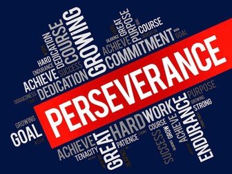 Perseverance Assembly kit