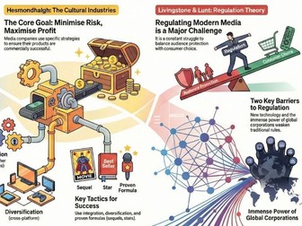 EDUQAS A Level Media Infographics