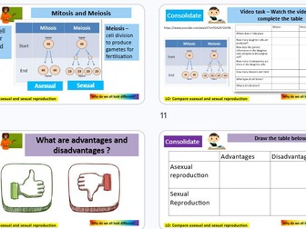 Types of reproduction KS3 Science