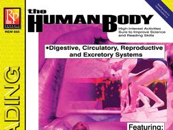 Digestive, Circulatory, Reproductive, & Excretory Systems: Science Reading Comprehension