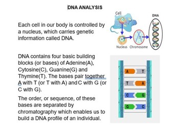 DNA Analysis information + tasks for Forensic Science Murder Mystery Who Dunnit