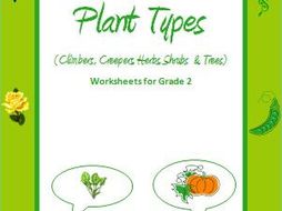 Plant Types Climbers Creepers Herbs Shrubs And Trees By Plant Types Climbers Creepers Herbs Shrubs And Trees