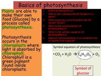 Basics of photosynthesis