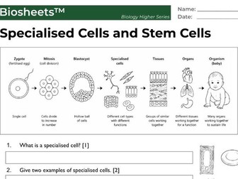 Biosheets™ – Specialised cells and Stem cells (IGCSE / GCSE Biology Worksheet + Mark Scheme)