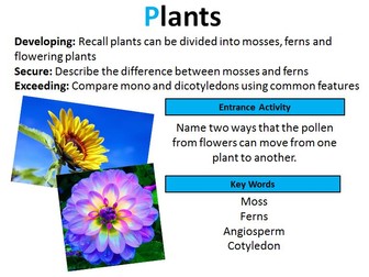 GCSE Biology: Plant Classification (Lesson 3)