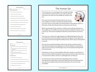 The Human Ear Reading Comprehension Passage Printable Worksheet