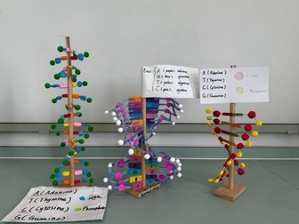 History of life unit