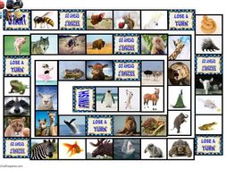Animals Animated Board Game