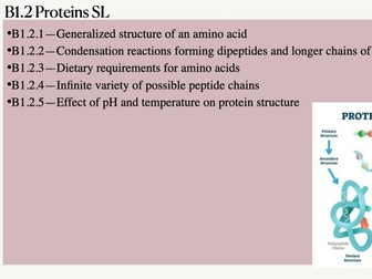 NEW Biology IB Unit B1.2 Proteins