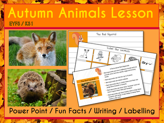 Autumn Animals Lesson Resources EYFS KS1