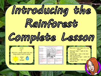 Introducing the Rainforest Complete STEAM Lesson