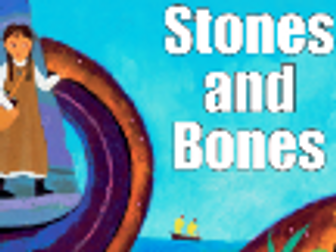 Stones and Bones Guided Reading