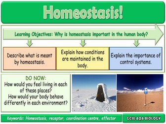 Homeostasis AQA GCSE (9-1) Biology