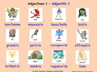 All French Adjectives (Gender & number agreement).
