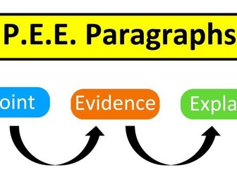 PEE paragraphs burger template