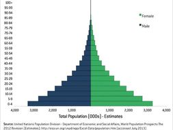 Population Pyramids | Teaching Resources