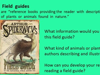 Introduction to ''Arthur Spiderwick's Field Guide to the Fantastical World Around You''