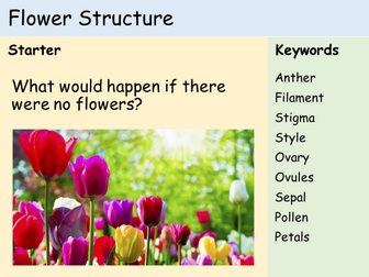 KS3 Plants - Lesson 2 - Structure of a Flower (and dissection)