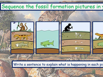 6 lesson PowerPoint KS1 Science lessons carnivores, herbivores & omnivores