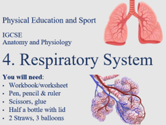 iGCSE PE: 1. A&P: Respiratory system