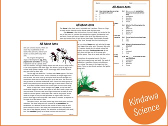 All About Ants Reading Comprehension Passage and Questions - PDF