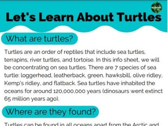 Turtle Worksheet