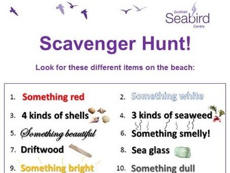 Scottish Seabird Centre - Beach scavenger hunt and beachcombing