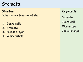 KS3 Plants - Lesson 8 - Stomata (Microscopes)