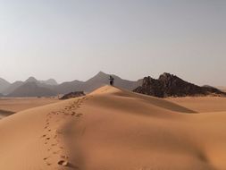 Desert Environment Dangers, Survival and WAGOLL Mark Scheme
