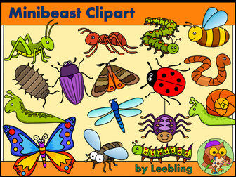 Minibeast clipart - Insect and Bug Clipart